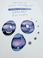 Hachimonjiya Kirameki Jam Series Aurora Blueberry Jam - 4ml Fountain Pen Ink Sample