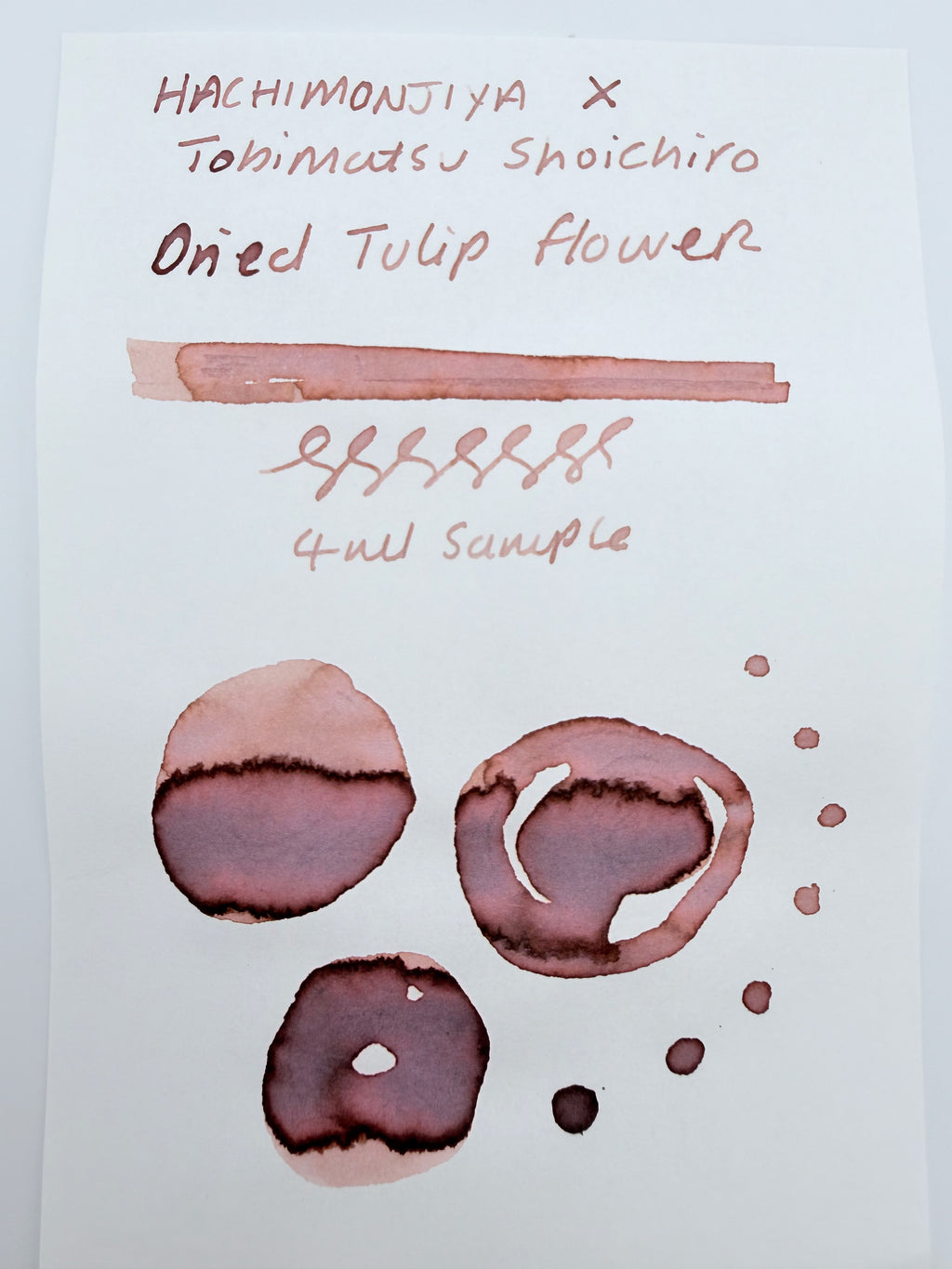 Hachimonjiya x Shoichiro Tobimatsu Dried Tulip Bouquet - 4ml Fountain Pen Ink Sample