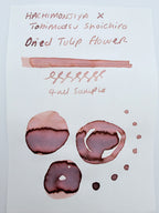 Hachimonjiya x Shoichiro Tobimatsu Dried Tulip Bouquet - 4ml Fountain Pen Ink Sample