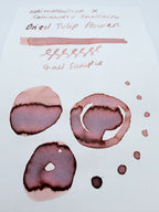 Hachimonjiya x Shoichiro Tobimatsu Dried Tulip Bouquet - 4ml Fountain Pen Ink Sample