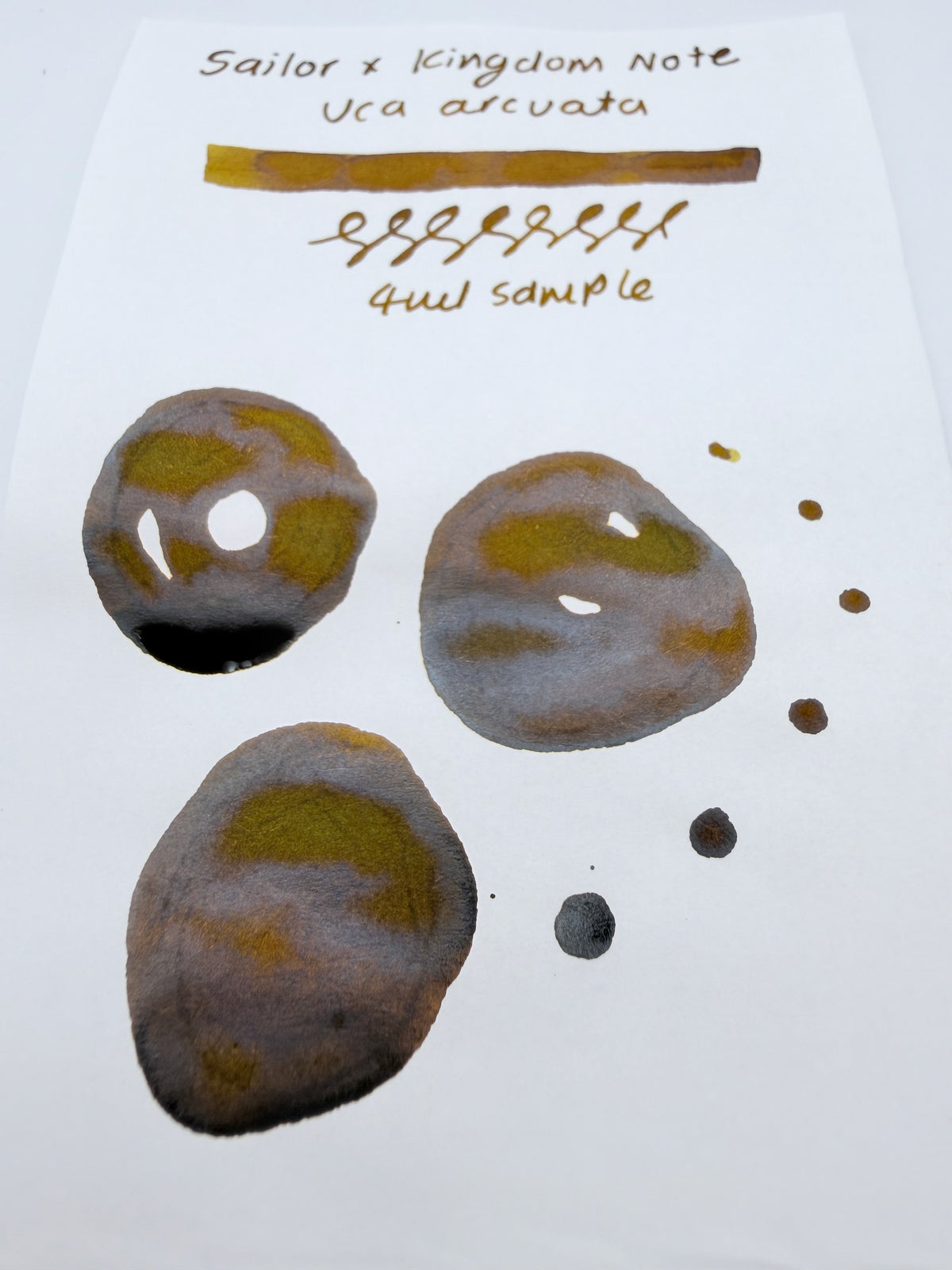 Sailor x Kingdom Note Crustacean Uca Arcuata - 4ml Fountain Pen Ink Sample